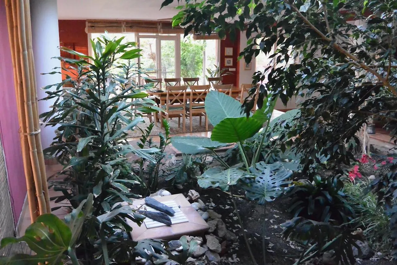 L'Albaida, Tranquility, Views Of Sea And Mountains Appartement Vilanova de Escornalbou 0*,