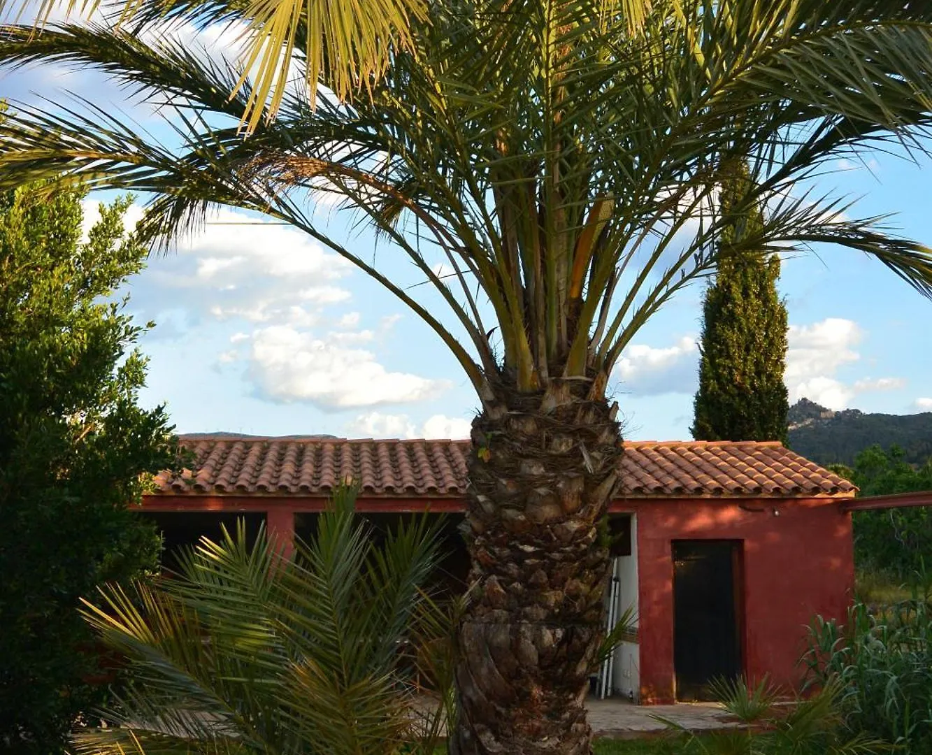 L'Albaida, Tranquility, Views Of Sea And Mountains Appartement Vilanova de Escornalbou 0*,