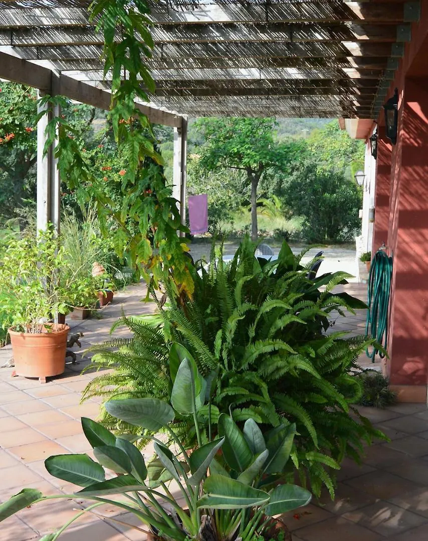 L'Albaida, Tranquility, Views Of Sea And Mountains Appartement Vilanova de Escornalbou