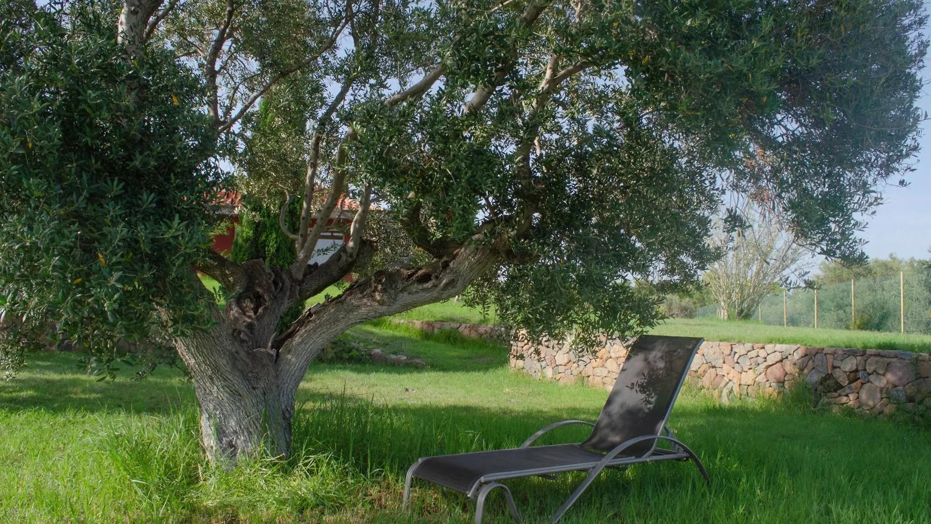 L'Albaida, Tranquility, Views Of Sea And Mountains Appartement Vilanova de Escornalbou Spanje